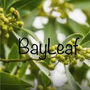 Meet your Posher, Bay